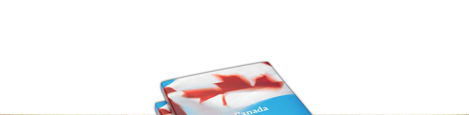 Red and blue book cover of A Flag for Canada